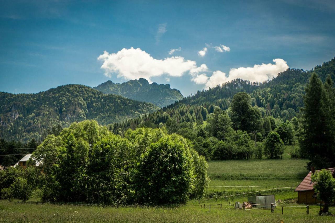 Apartmány Jánošík Terchová Exterior foto